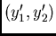 $(y_1', y_2')$