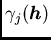 $/gamma_j({/boma h})$